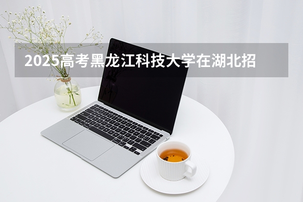 2025高考黑龙江科技大学在湖北招生专业有哪些 学费多少（2026参考）