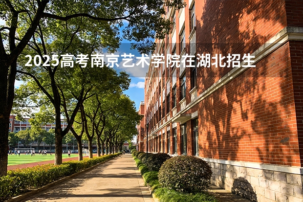 2025高考南京艺术学院在湖北招生专业有哪些 学费多少（2026参考）