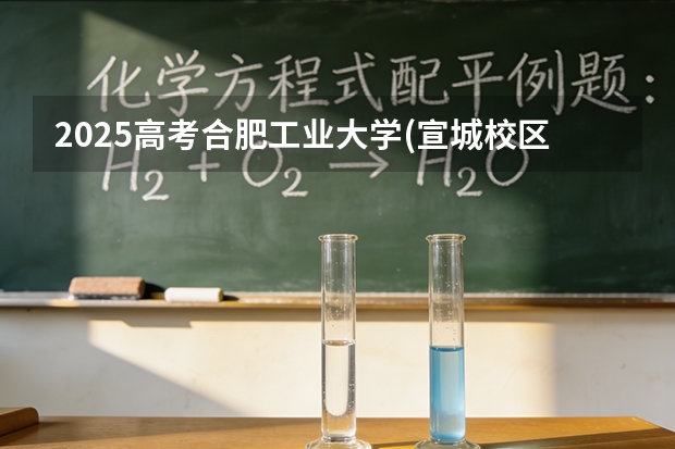 2025高考合肥工业大学(宣城校区)在福建招生专业有哪些 学费多少（2026参考）