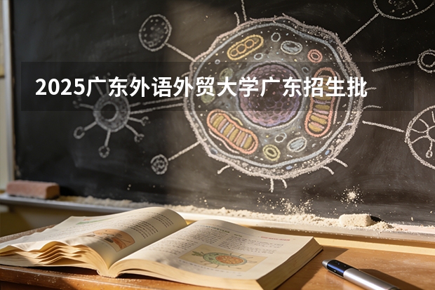 2025广东外语外贸大学广东招生批次设置及招生专业目录