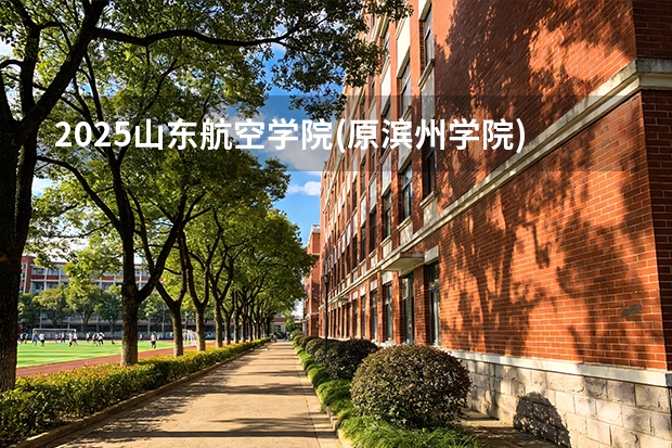 2025山东航空学院(原滨州学院)广东招生批次设置及招生专业目录