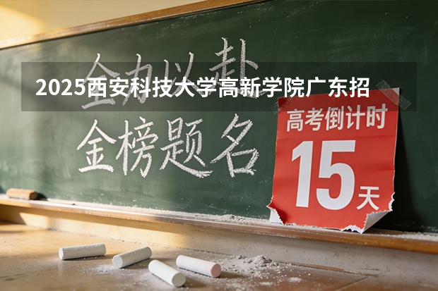 2025西安科技大学高新学院广东招生批次设置及招生专业目录