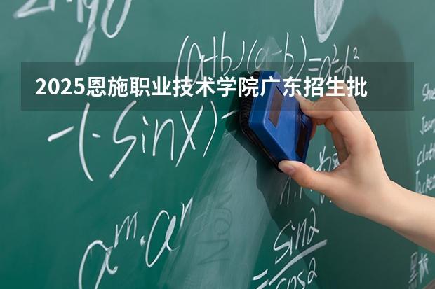 2025恩施职业技术学院广东招生批次设置及招生专业目录
