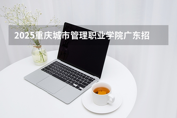 2025重庆城市管理职业学院广东招生批次设置及招生专业目录