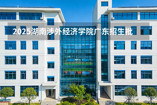 2025湖南涉外经济学院广东招生批次设置及招生专业目录