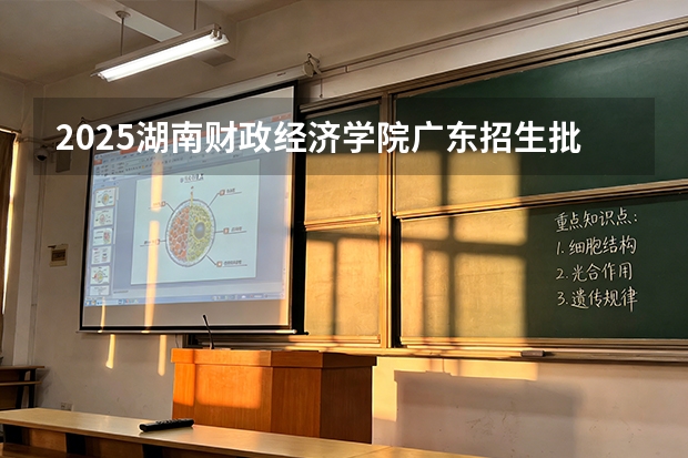 2025湖南财政经济学院广东招生批次设置及招生专业目录