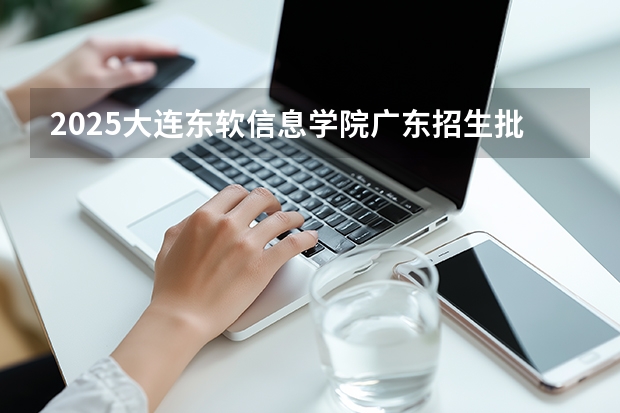 2025大连东软信息学院广东招生批次设置及招生专业目录