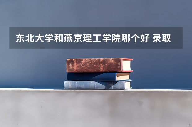 东北大学和燕京理工学院哪个好 录取分数线对比一览