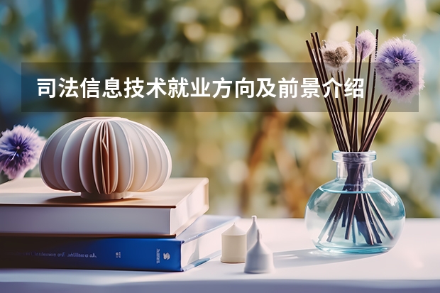 司法信息技术就业方向及前景介绍