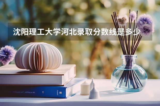 沈阳理工大学河北录取分数线是多少 沈阳理工大学河北招生人数是多少