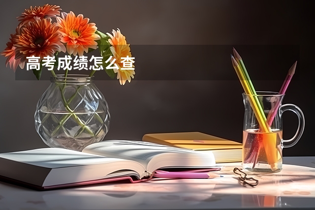 高考成绩怎么查