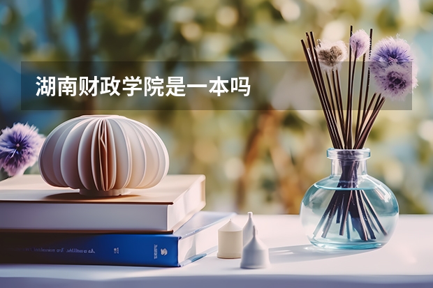 湖南财政学院是一本吗