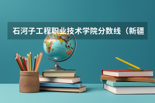石河子工程职业技术学院分数线（新疆石河子职业技术学院是公办还是民办）