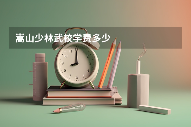 嵩山少林武校学费多少
