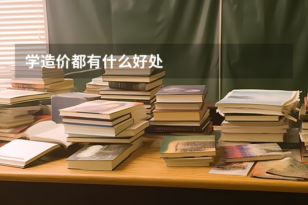 学造价都有什么好处