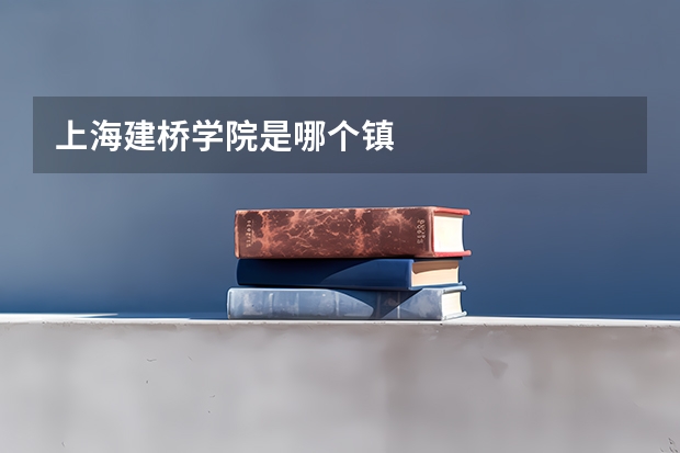 上海建桥学院是哪个镇
