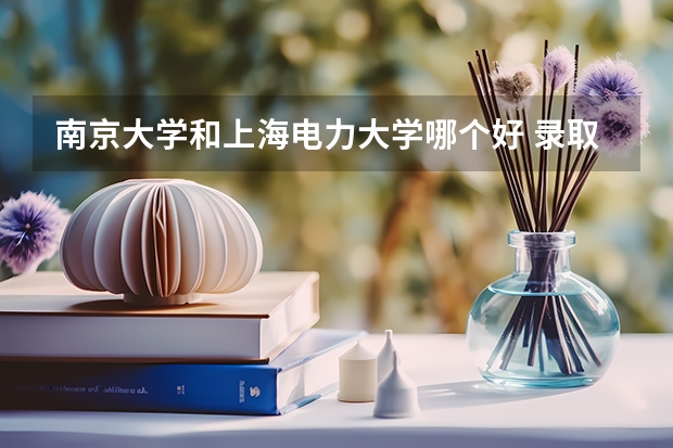 南京大学和上海电力大学哪个好 录取分数线对比一览