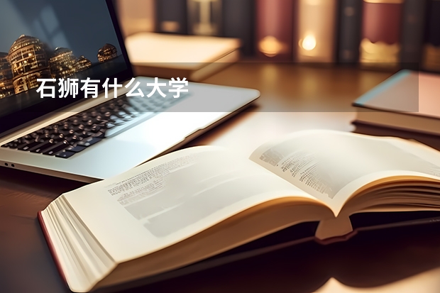 石狮有什么大学