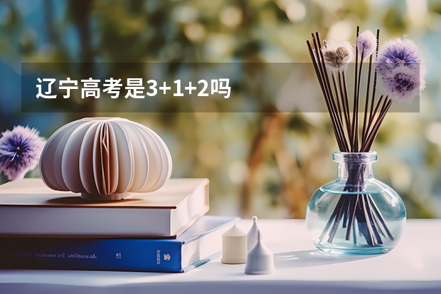 辽宁高考是3+1+2吗