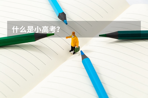 什么是小高考?