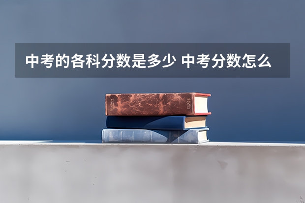 中考的各科分数是多少 中考分数怎么算