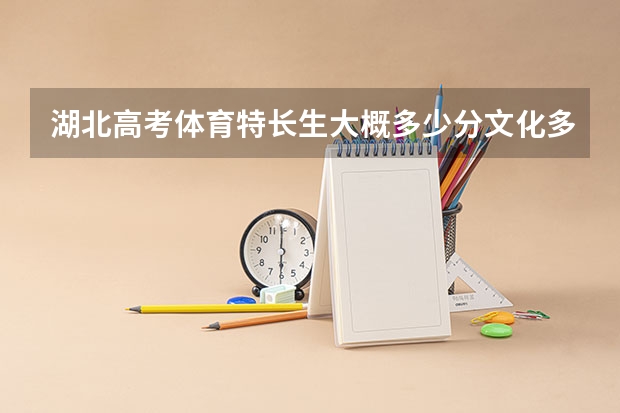 湖北高考体育特长生大概多少分文化多少分体育才能上武体?