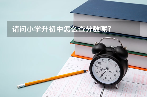 请问小学升初中怎么查分数呢?
